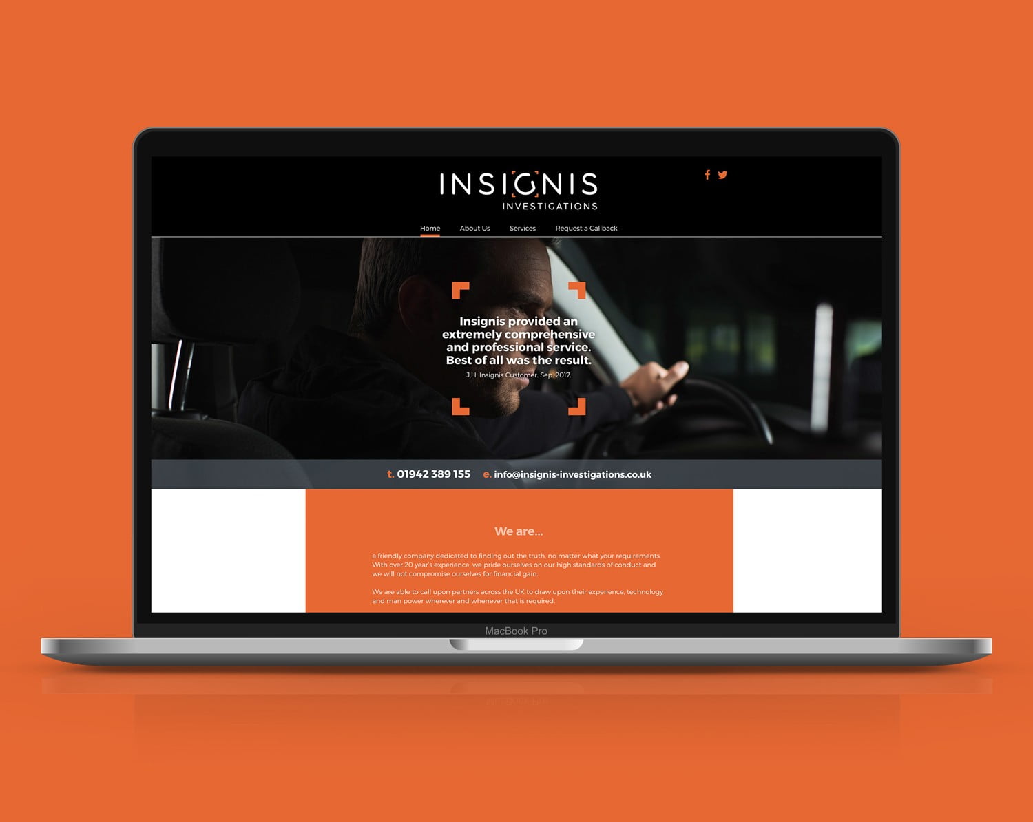 insignis investigations