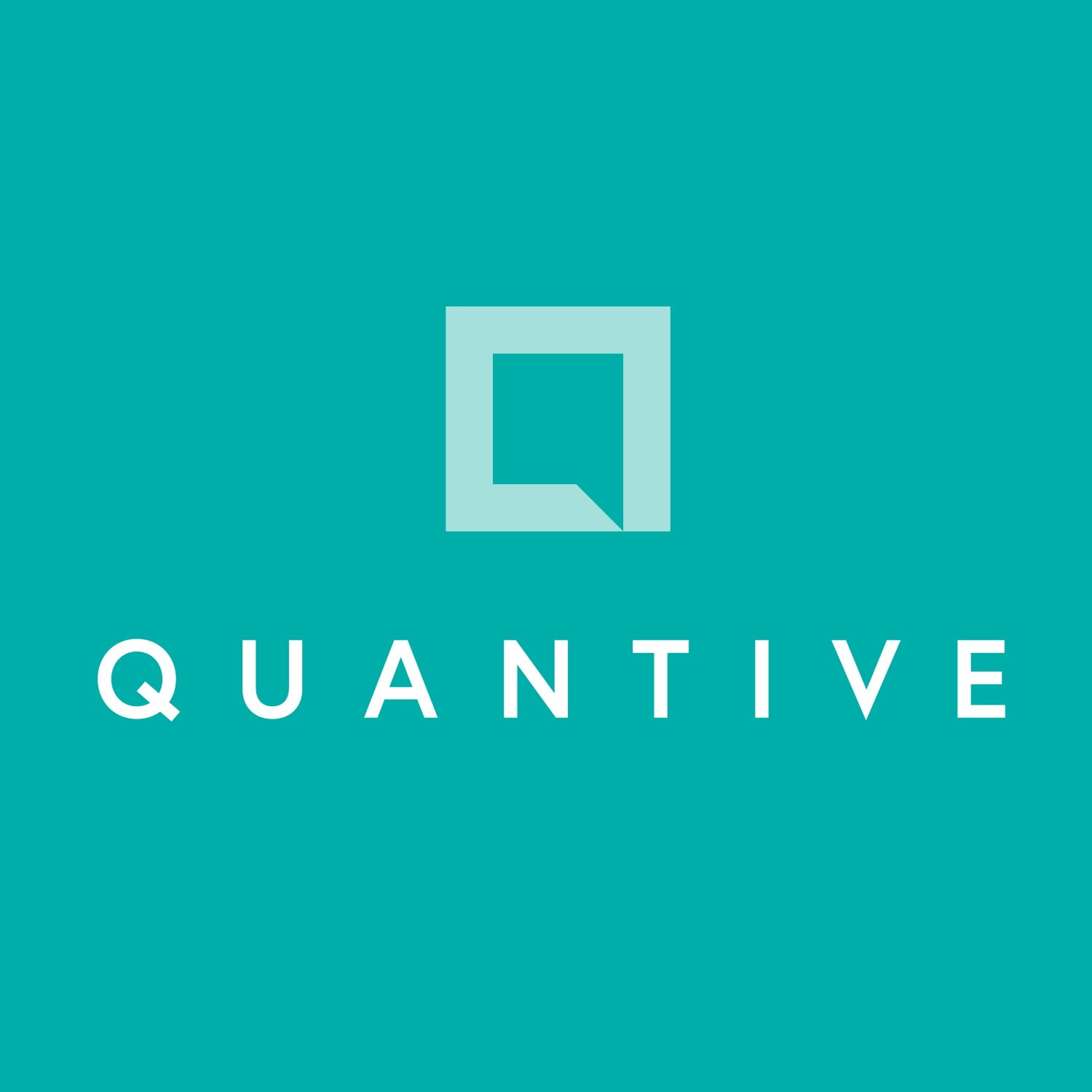 quantive business solutions